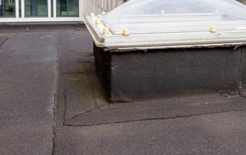 disadvantages of Pont Faen flat roofs