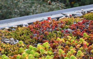 the cost of Pont Faen green roof installation