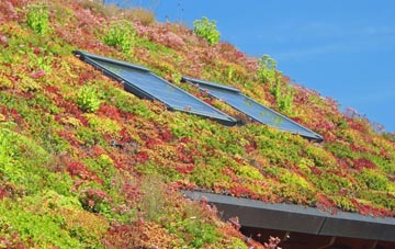 Pont Faen living roof systems